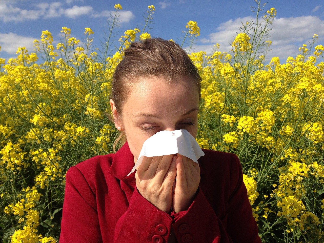  Mit kell tudni a pollenallergiáról?