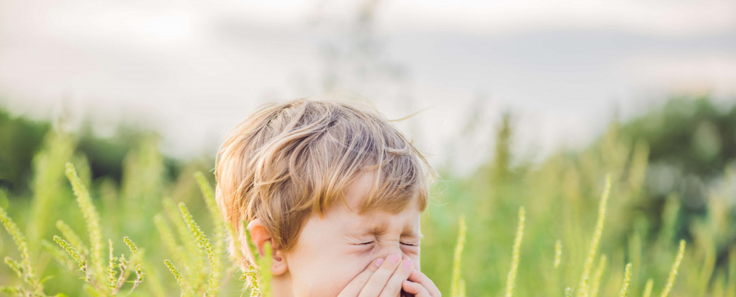  Nyárvégi allergiák – érkezik a parlagfű